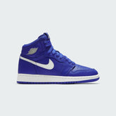 Air Jordan 1 Hi Retro Juniors 575441 401
