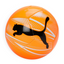 Focuses on the locked-in 12-panel symmetry and the professional PUMA branding.