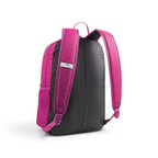 Focuses on the stitched back panel and the professional webbing carry handle.