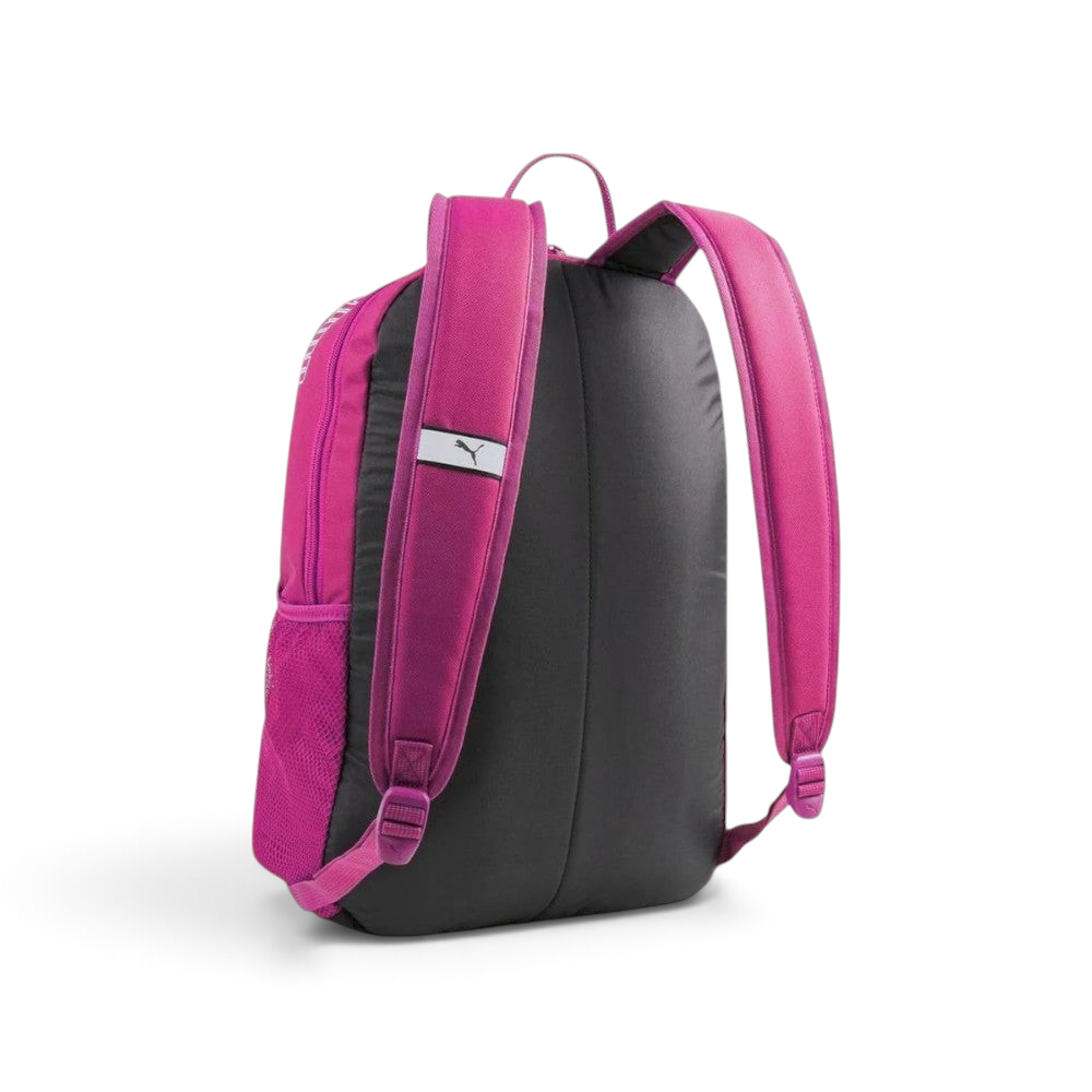 Focuses on the stitched back panel and the professional webbing carry handle.
