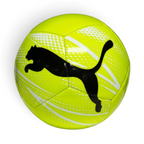 Focuses on the locked-in 12-panel symmetry and the professional PUMA branding.