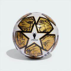 Top-down view of the ball, showcasing the star-panel layout and the clean machine-stitched seams.