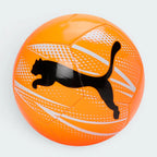 Focuses on the locked-in 12-panel symmetry and the professional PUMA branding.