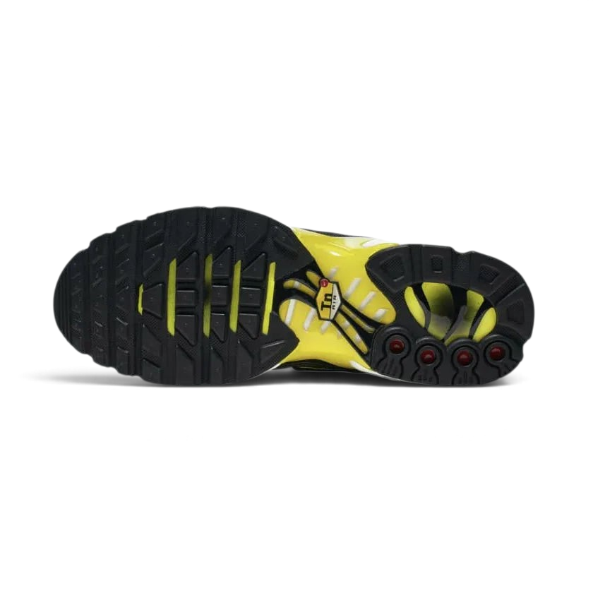 Nike Air Max Plus Tn Women's CN0142 001 Secondary image
