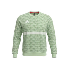 Adidas Handball Goalkeeper Long Sleeve Jersey Men's in green and white, front view showing the long sleeves, crewneck collar, and Adidas logo on the chest.