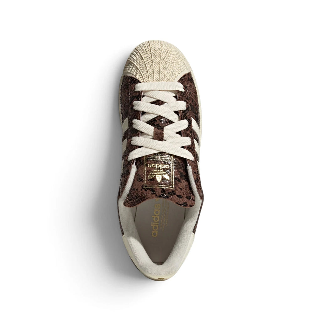 Overhead view looking down at the laced brown trainers, displaying the cream flat laces, gold foil branded tongue label, and clean interior lining.