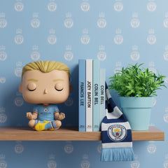 Funko Pop! vinyl figure on a shelf with books and a plant against a blue wall with logos.